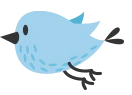 blue bird img